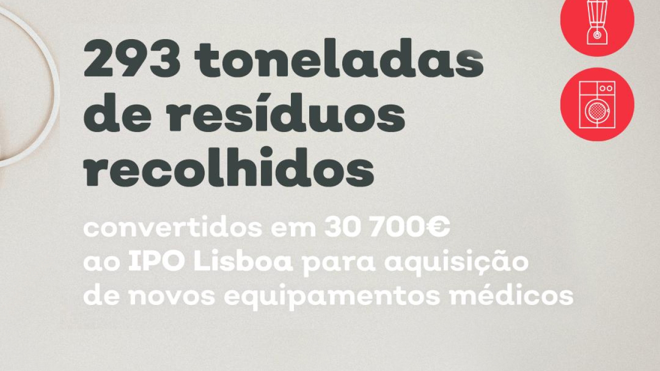 noticia Site