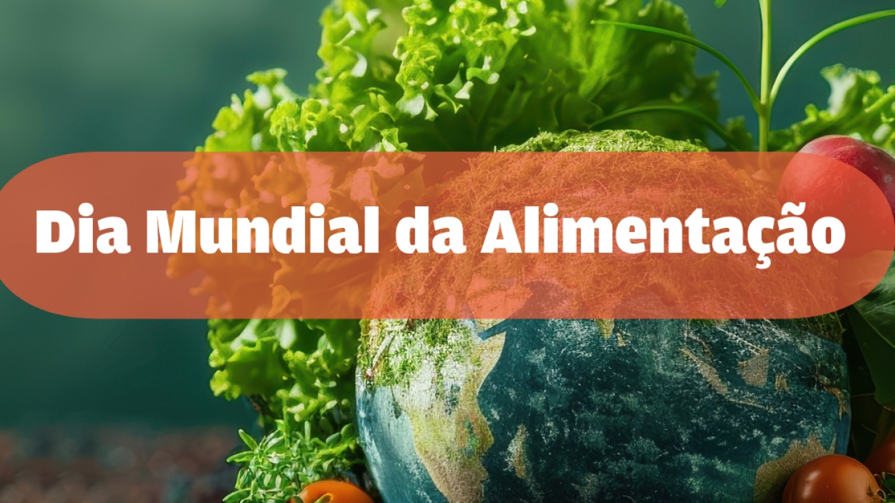 Sem título-2