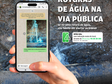 banner_noticia_site