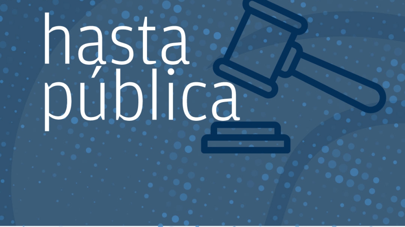 hasta_publica
