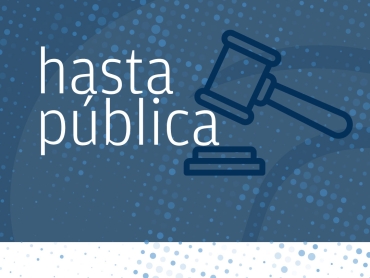 hasta_publica