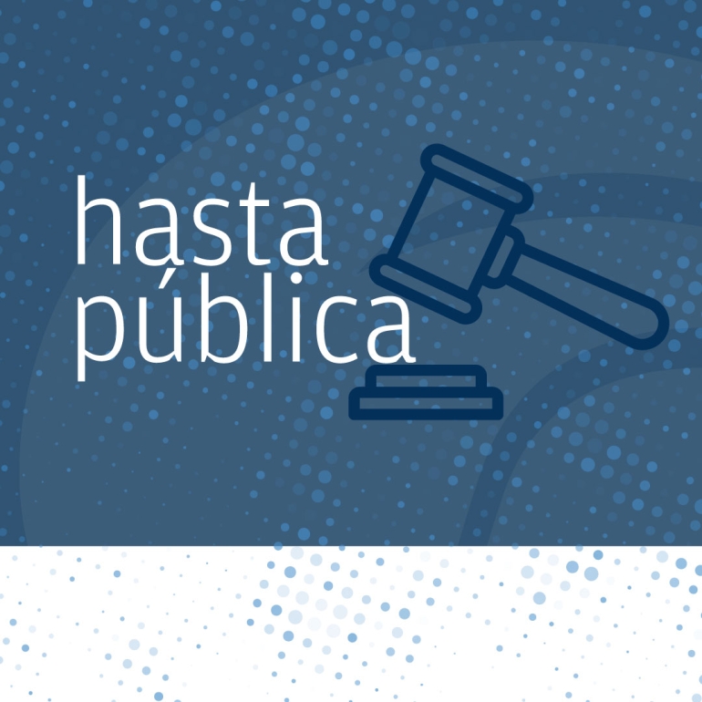 hasta_publica