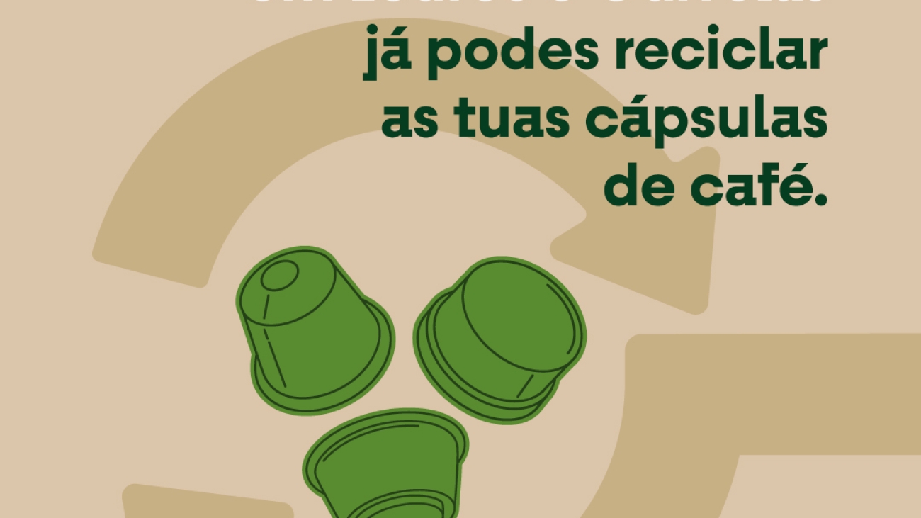 modelo_post_site