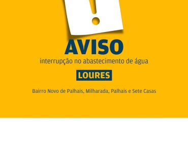 amarelinho-2 (2) (002)