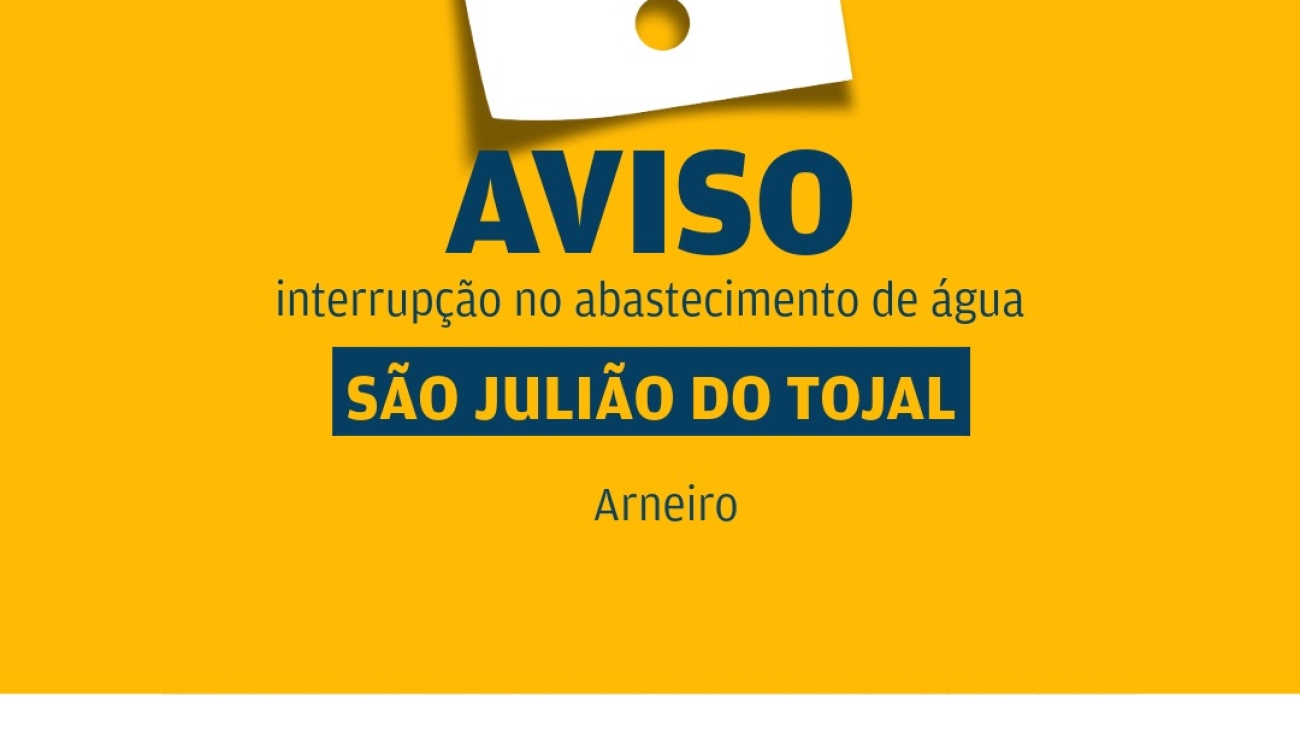 amarelinho_arneiro_site