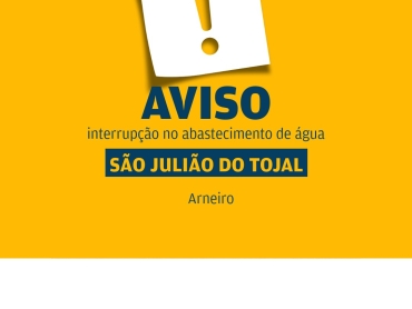 amarelinho_arneiro_site