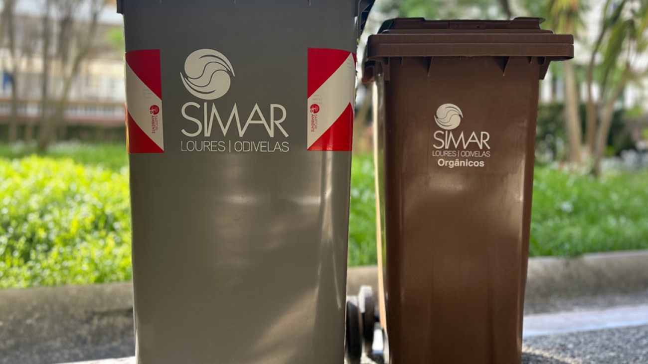 Imagem_site_novos_contentores