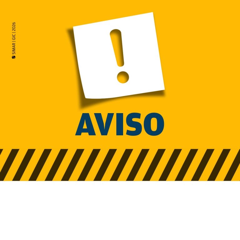 amarelinho_generalista_site