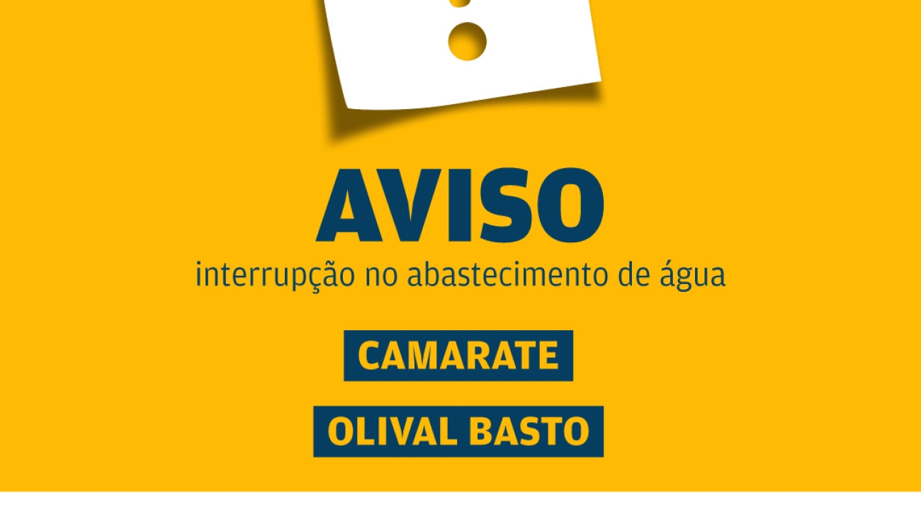 amarelinho_site_camarate_Olival_Basto_06_04_2026