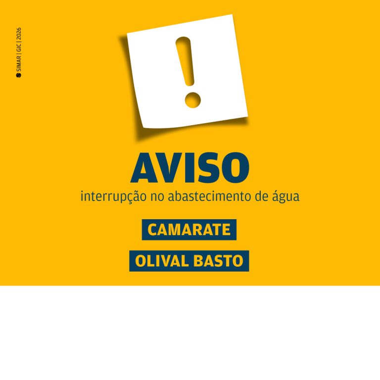amarelinho_site_camarate_Olival_Basto_06_04_2026
