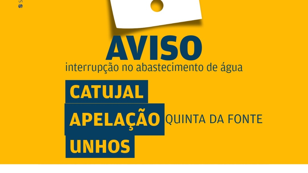 amarelinho-12