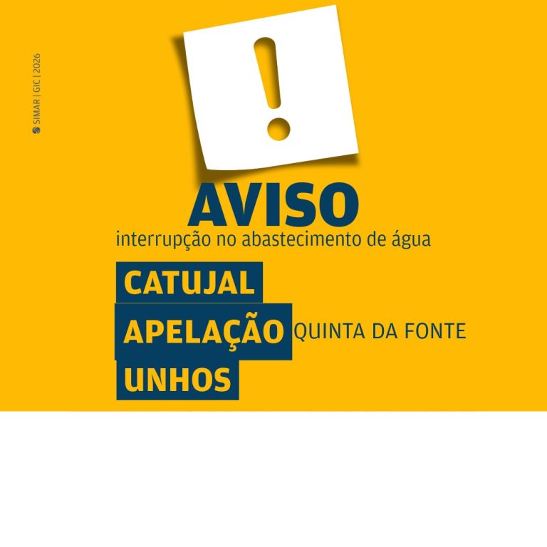 amarelinho-12