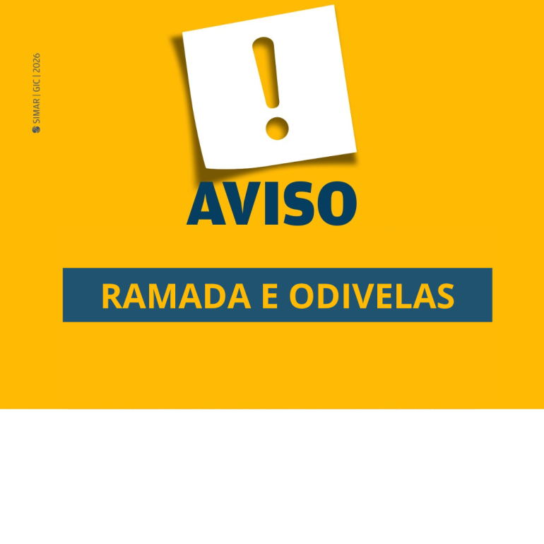 AMARELINHO