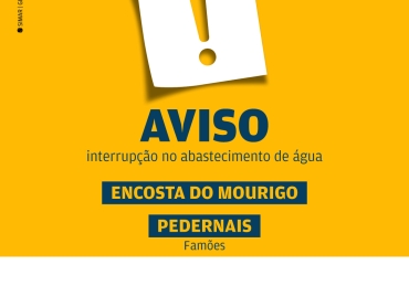 25_10_Amarelinho_Site.jpg
