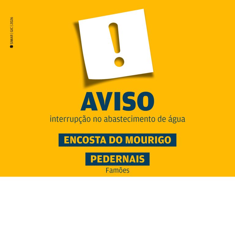 25_10_Amarelinho_Site.jpg